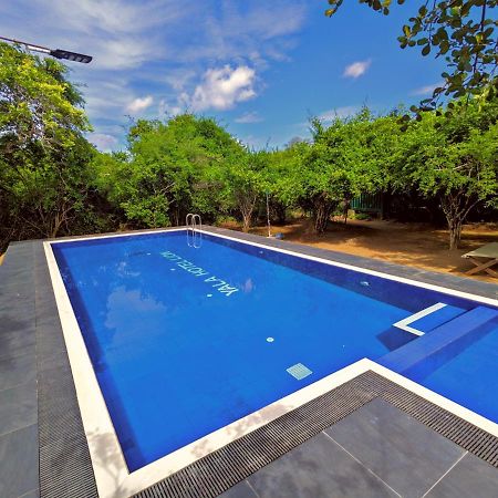 Yala Hotel Lion -Air Conditioned High Luxury Safari Camp Eksteriør bilde