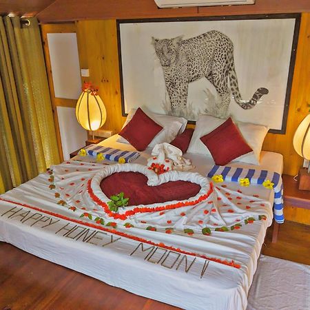 Yala Hotel Lion -Air Conditioned High Luxury Safari Camp Eksteriør bilde