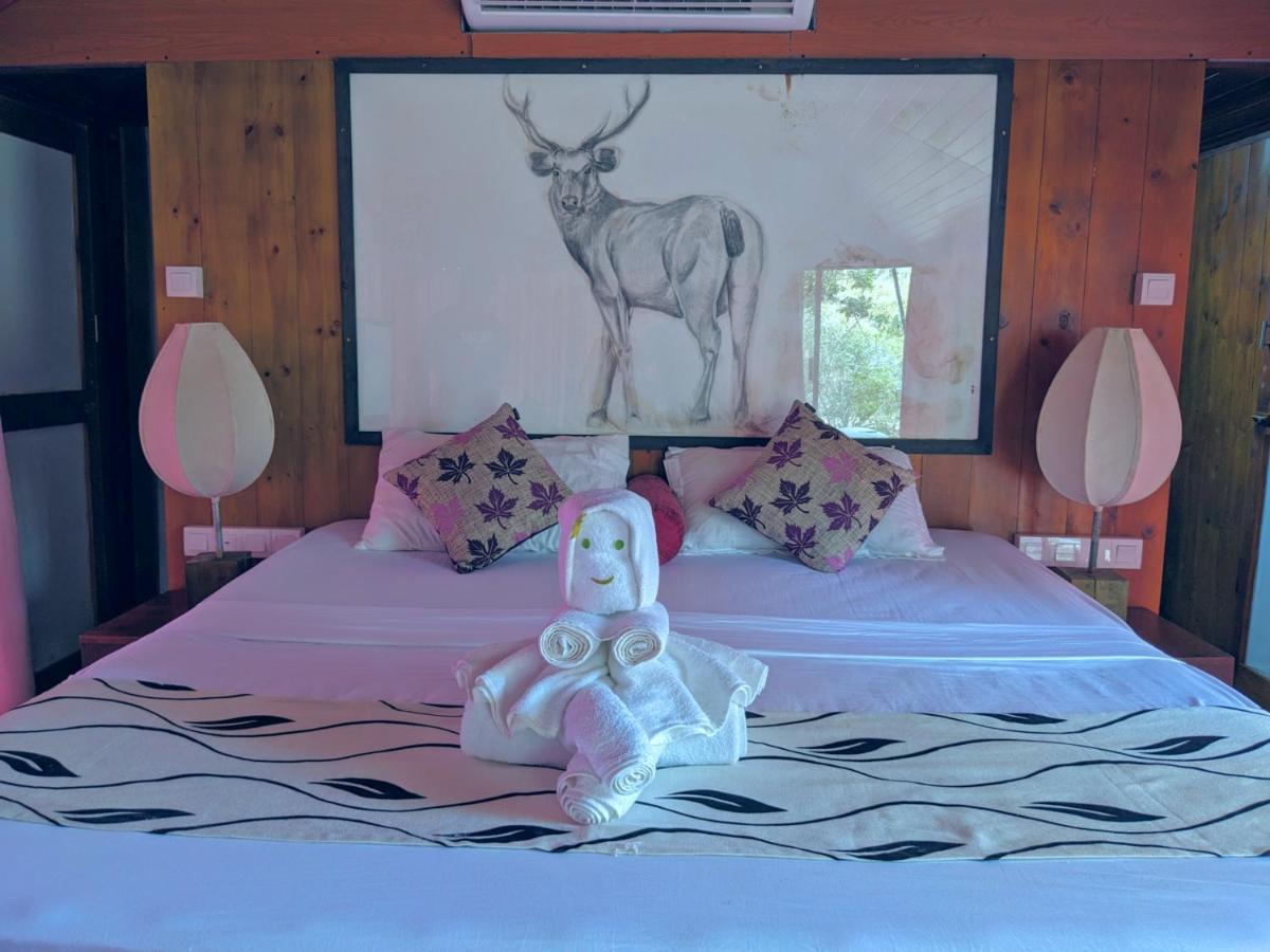 Yala Hotel Lion -Air Conditioned High Luxury Safari Camp Eksteriør bilde