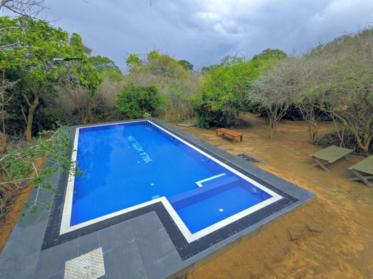 Yala Hotel Lion -Air Conditioned High Luxury Safari Camp Eksteriør bilde