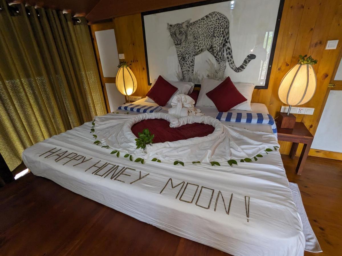 Yala Hotel Lion -Air Conditioned High Luxury Safari Camp Eksteriør bilde