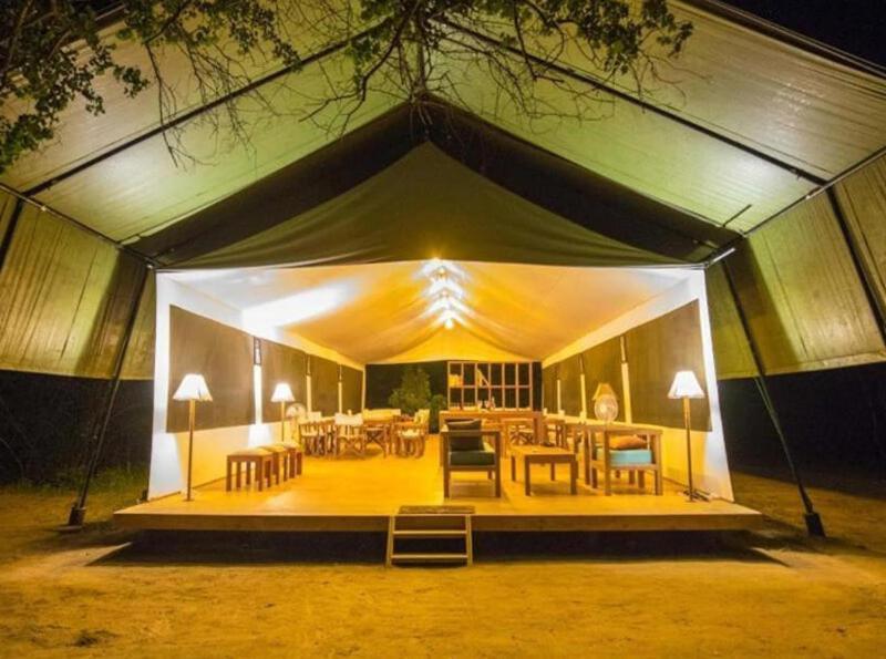 Yala Hotel Lion -Air Conditioned High Luxury Safari Camp Eksteriør bilde