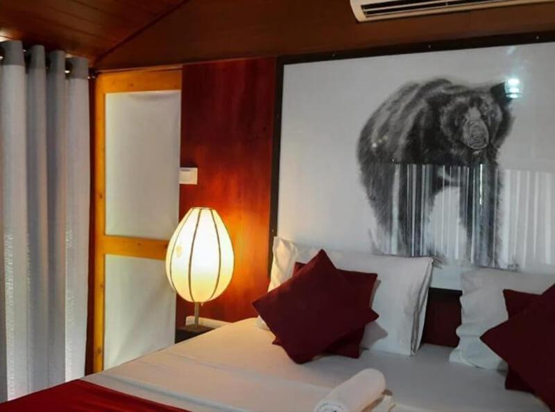 Yala Hotel Lion -Air Conditioned High Luxury Safari Camp Eksteriør bilde