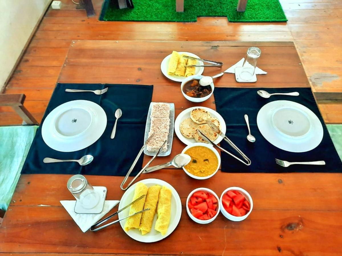Yala Hotel Lion -Air Conditioned High Luxury Safari Camp Eksteriør bilde