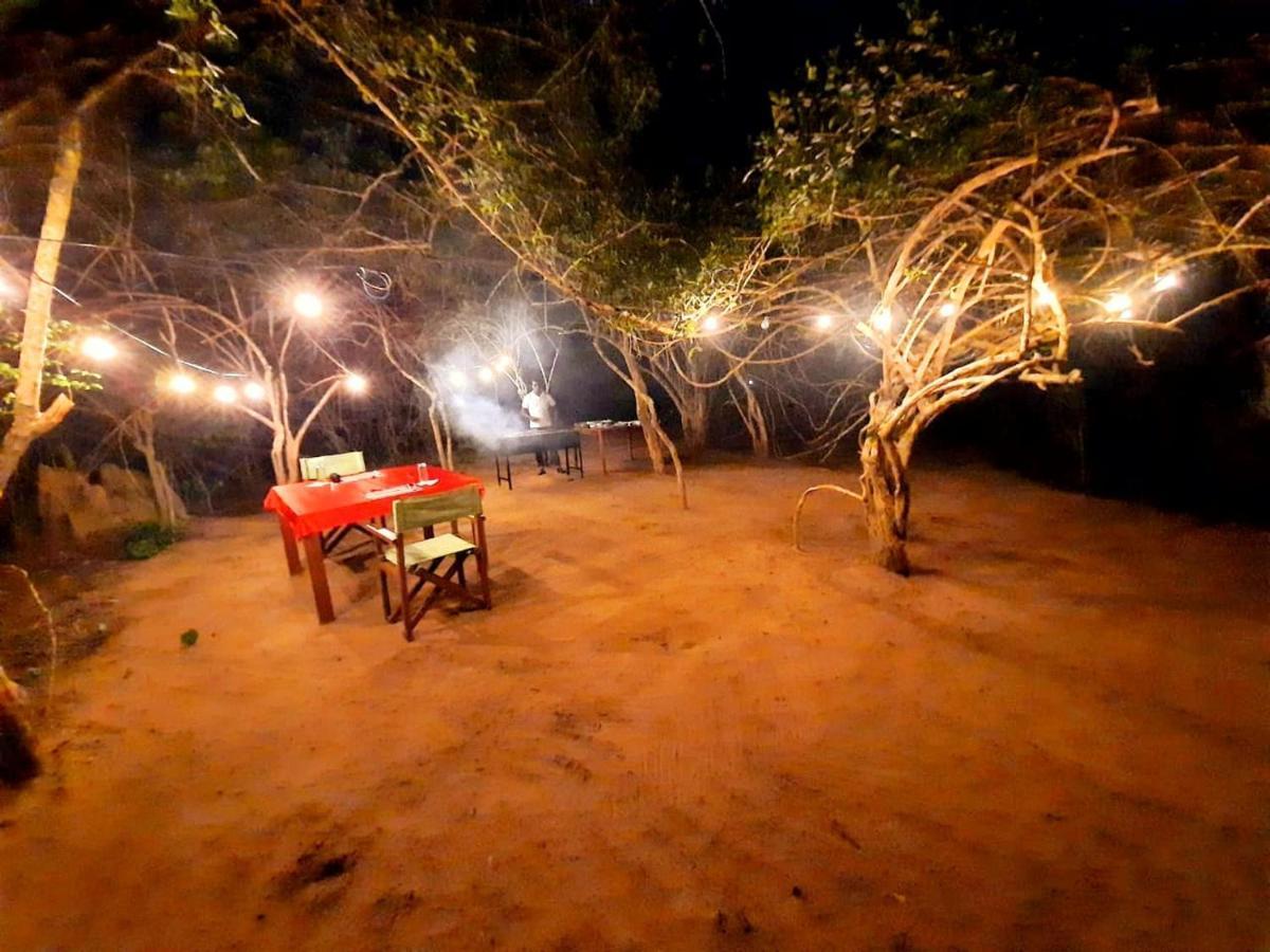 Yala Hotel Lion -Air Conditioned High Luxury Safari Camp Eksteriør bilde