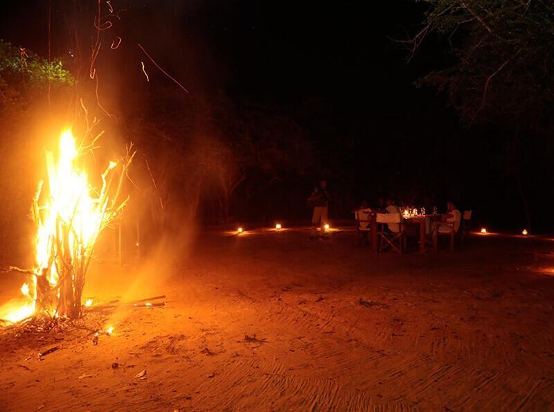 Yala Hotel Lion -Air Conditioned High Luxury Safari Camp Eksteriør bilde