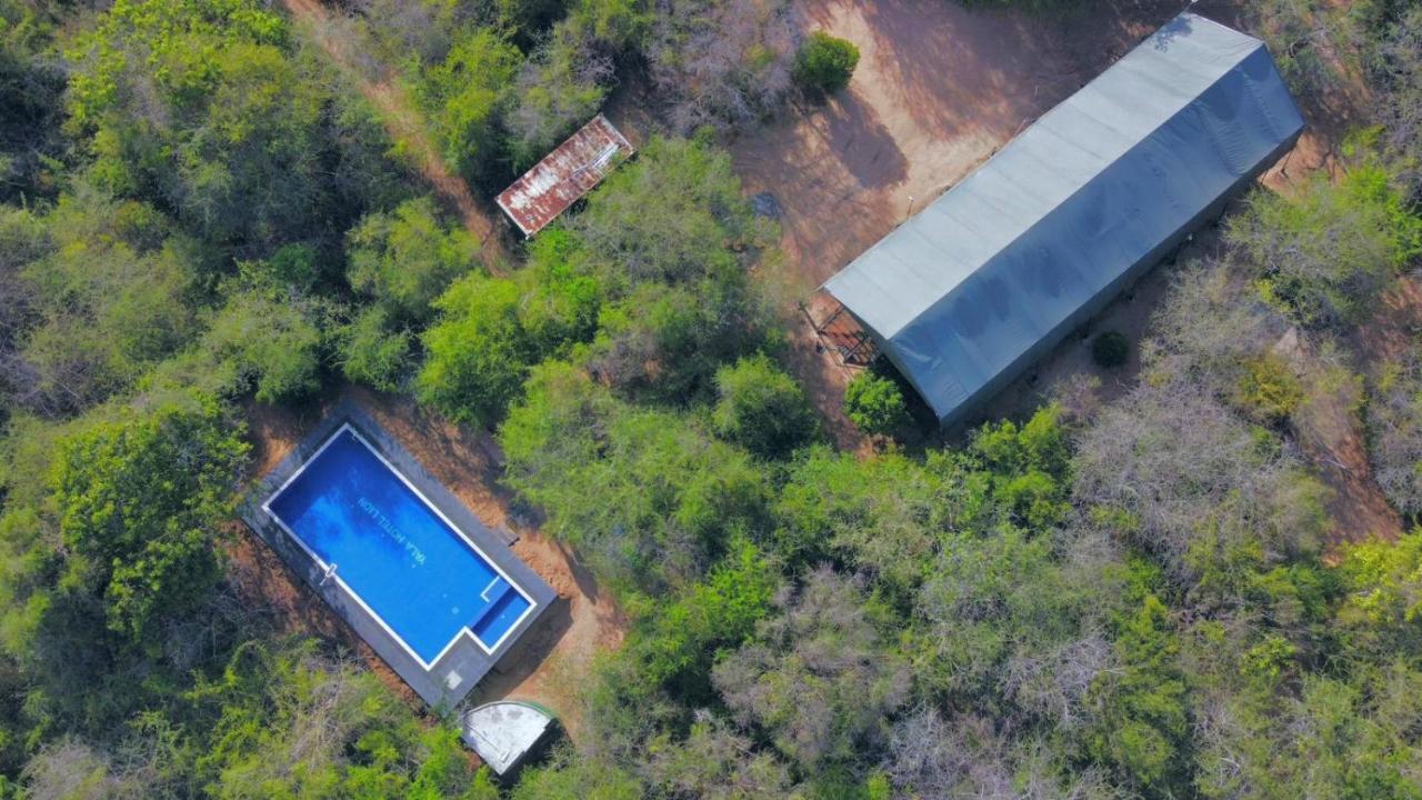 Yala Hotel Lion -Air Conditioned High Luxury Safari Camp Eksteriør bilde