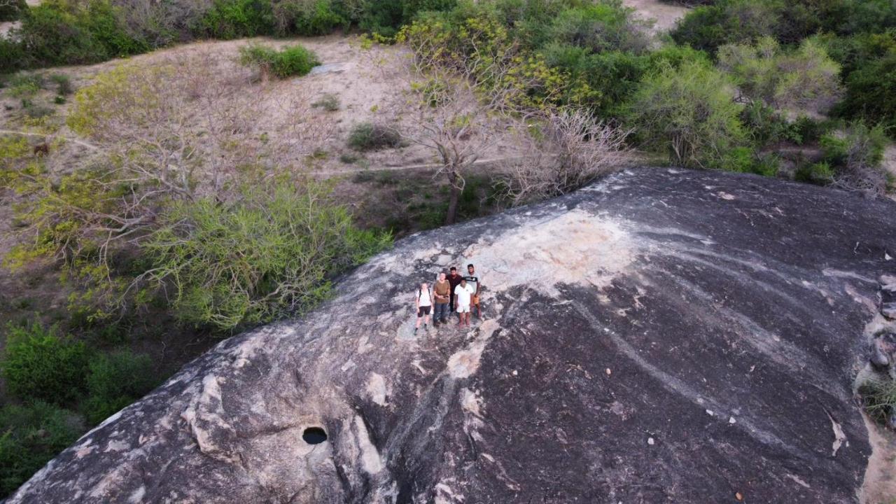 Yala Hotel Lion -Air Conditioned High Luxury Safari Camp Eksteriør bilde