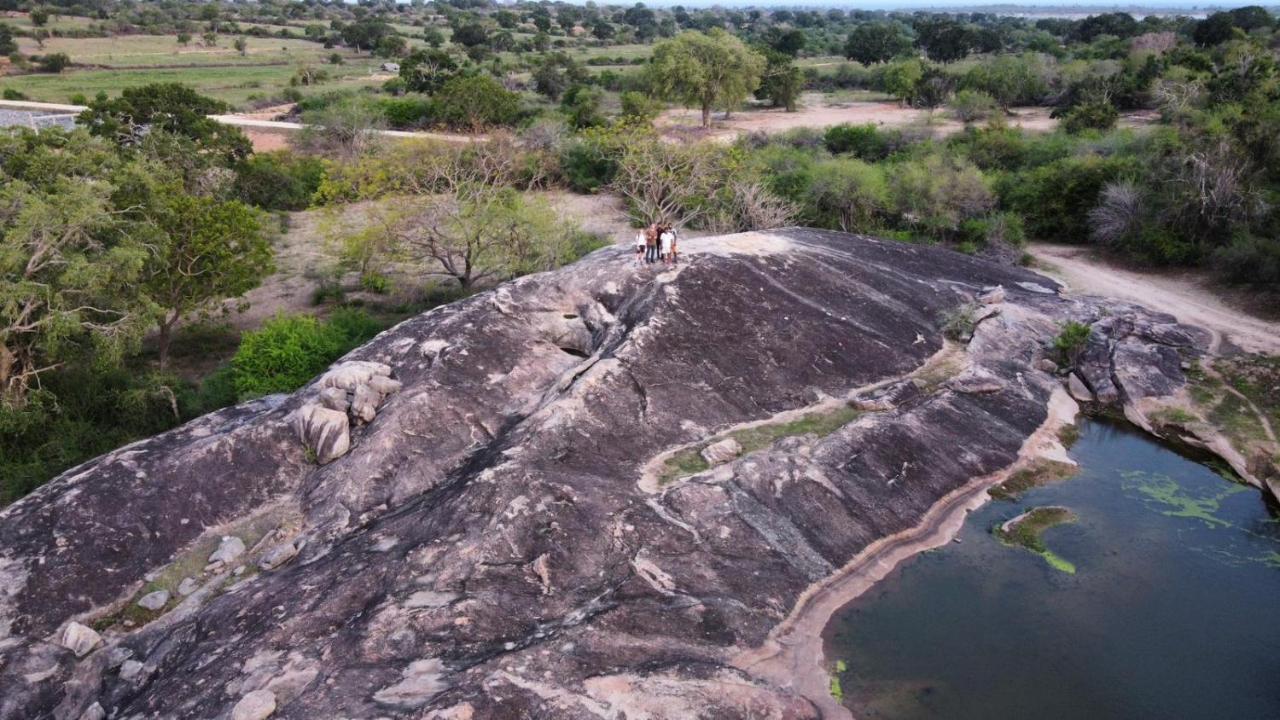Yala Hotel Lion -Air Conditioned High Luxury Safari Camp Eksteriør bilde