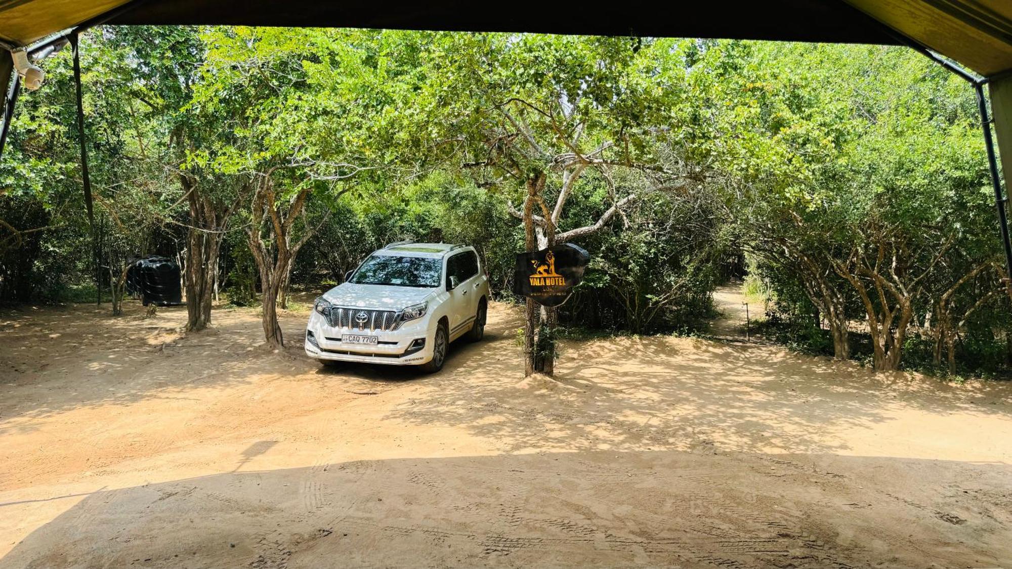Yala Hotel Lion -Air Conditioned High Luxury Safari Camp Eksteriør bilde