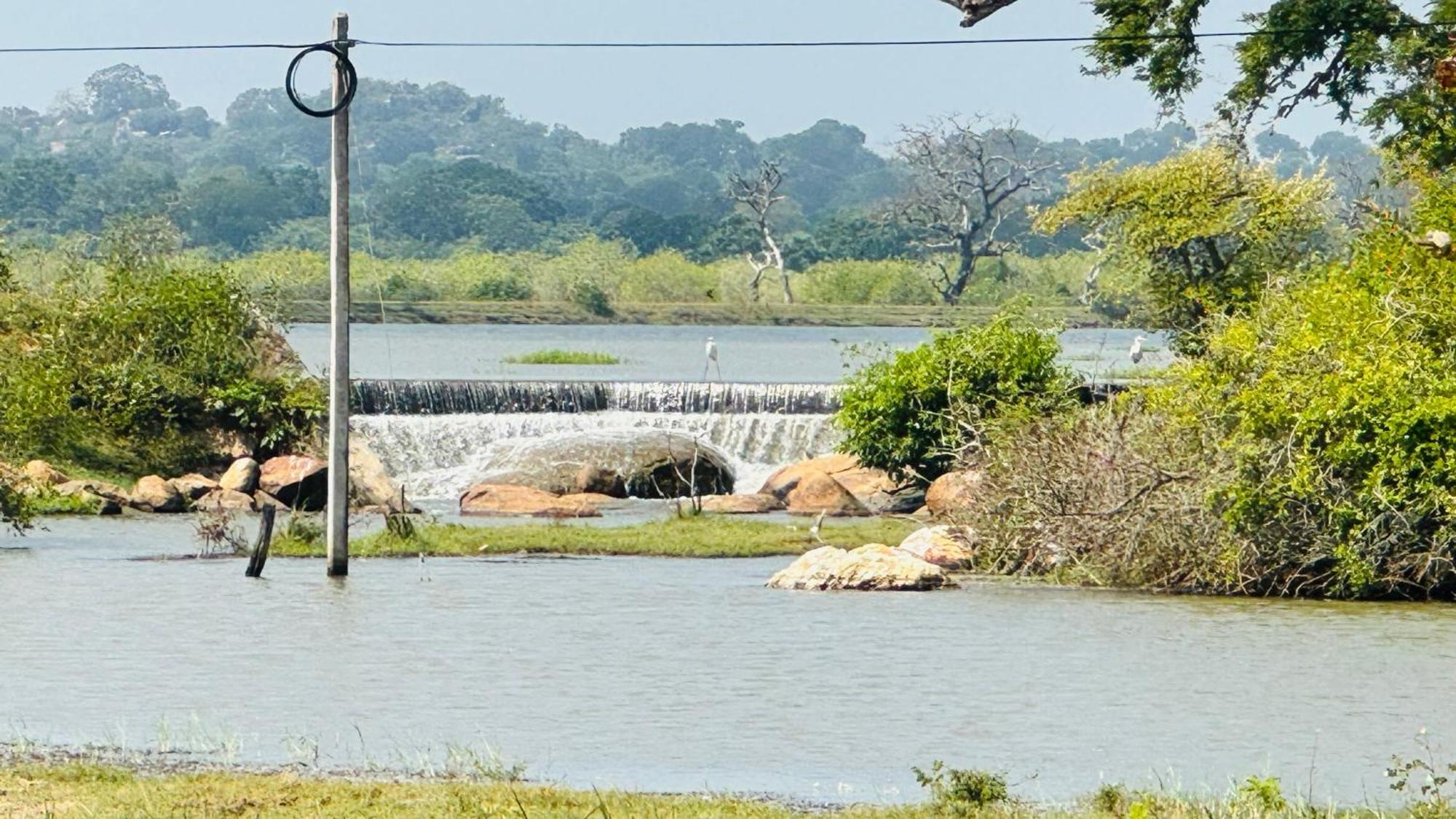 Yala Hotel Lion -Air Conditioned High Luxury Safari Camp Eksteriør bilde