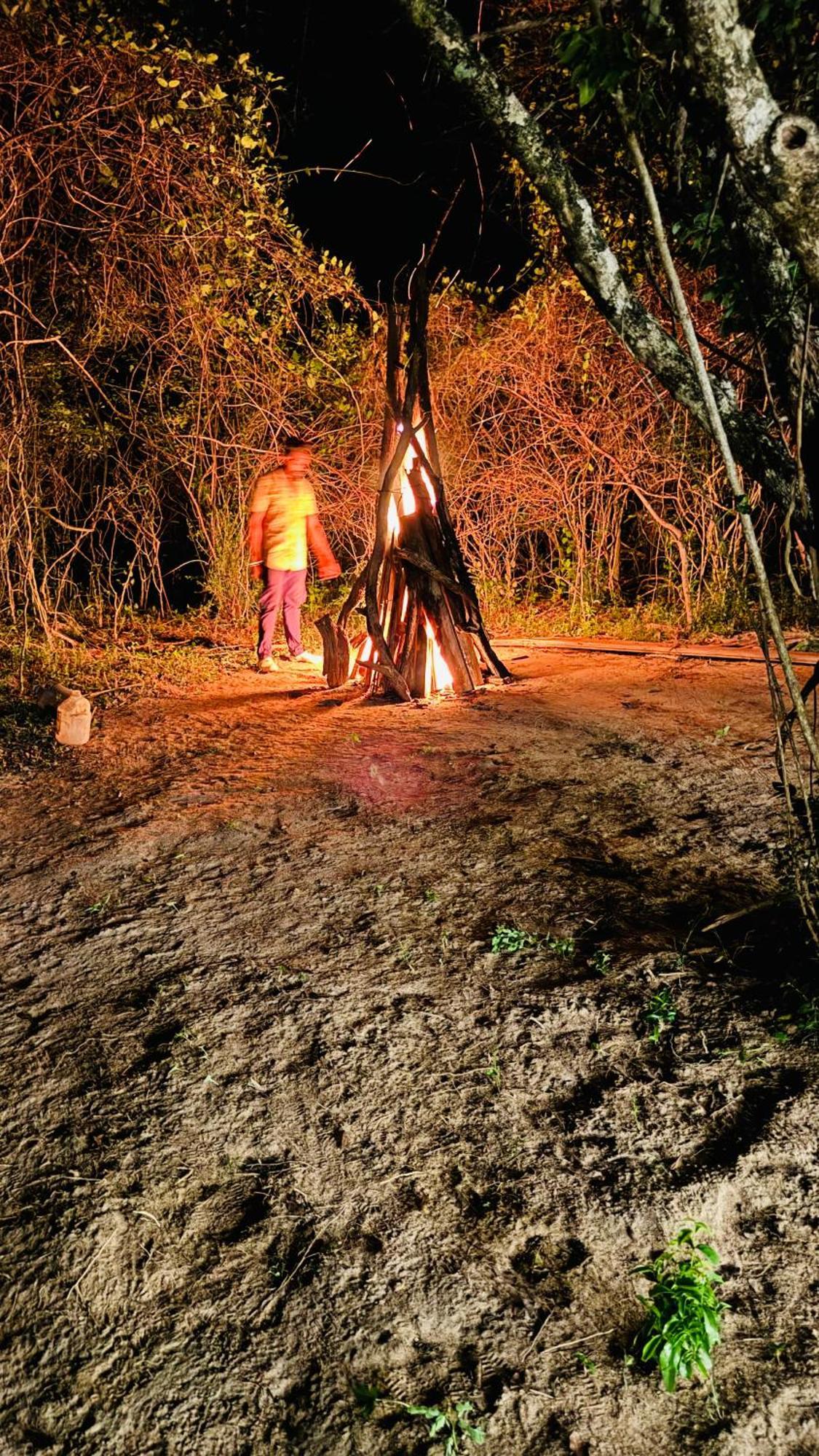 Yala Hotel Lion -Air Conditioned High Luxury Safari Camp Eksteriør bilde