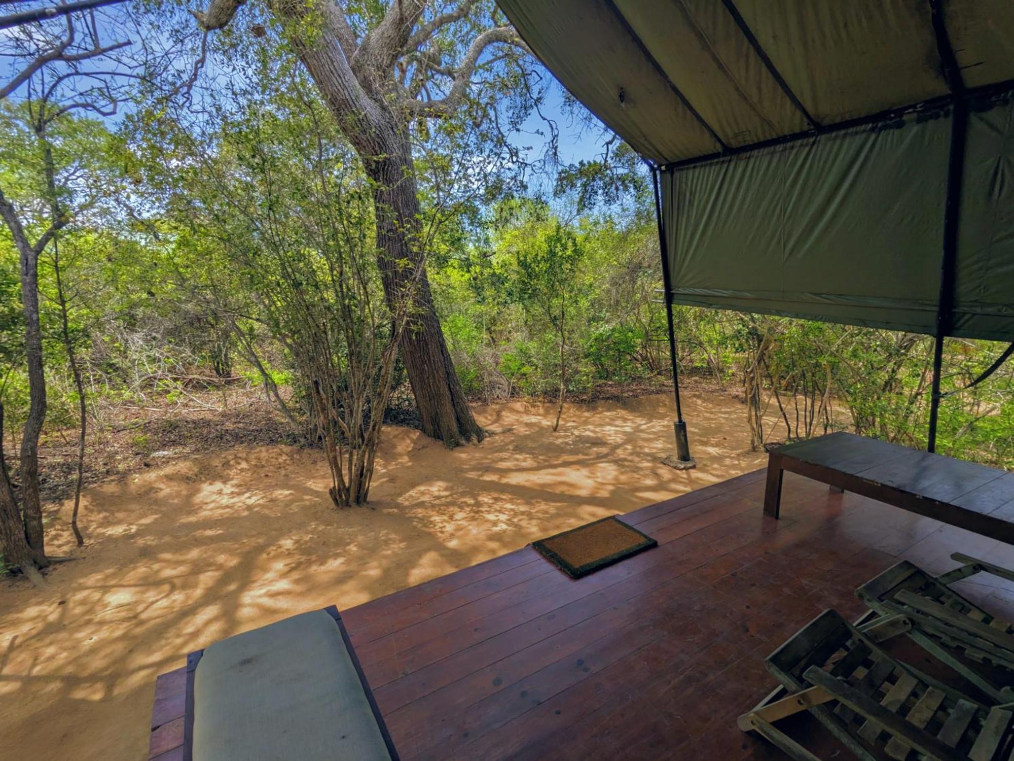 Yala Hotel Lion -Air Conditioned High Luxury Safari Camp Eksteriør bilde