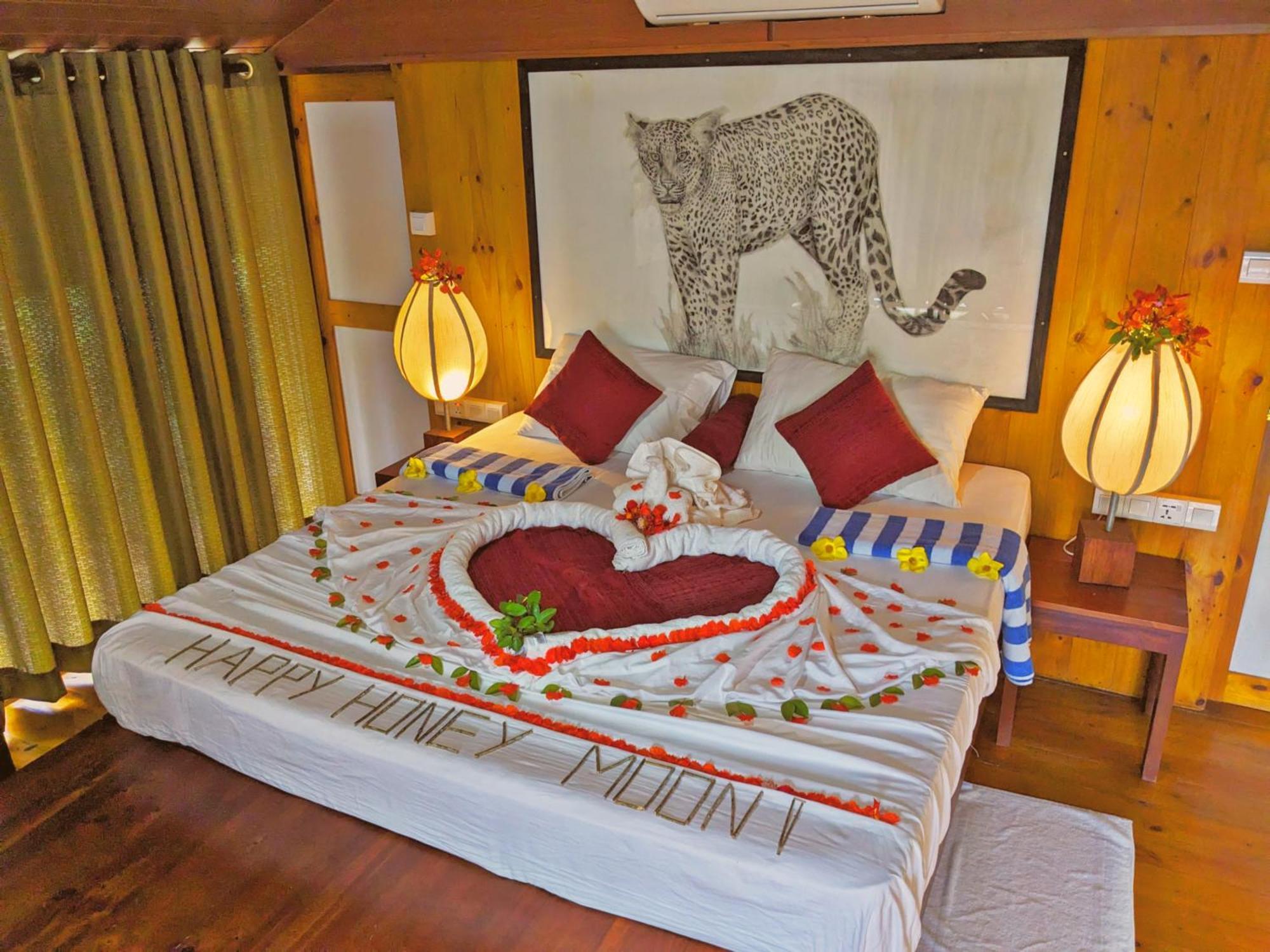 Yala Hotel Lion -Air Conditioned High Luxury Safari Camp Eksteriør bilde