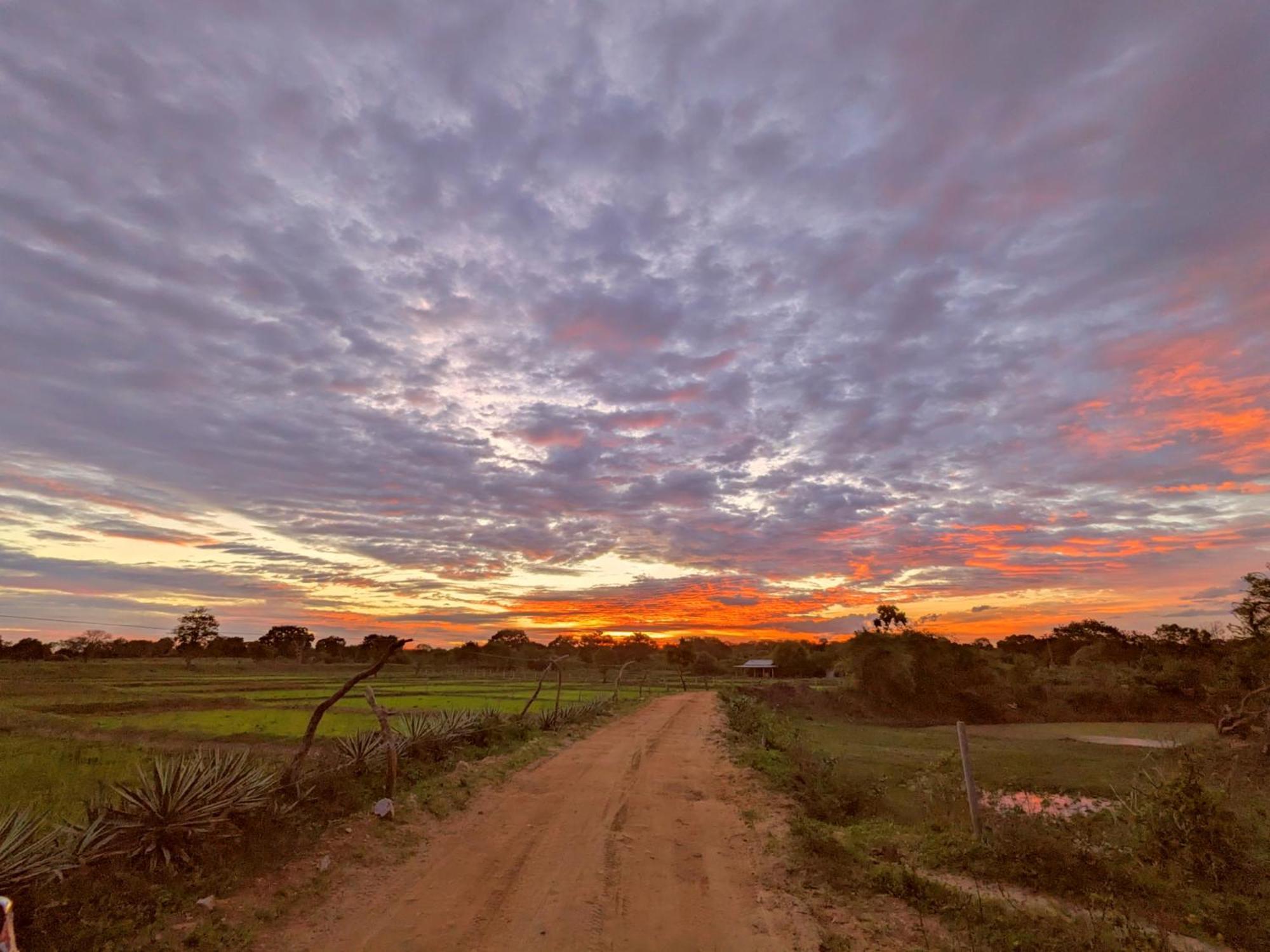 Yala Hotel Lion -Air Conditioned High Luxury Safari Camp Eksteriør bilde
