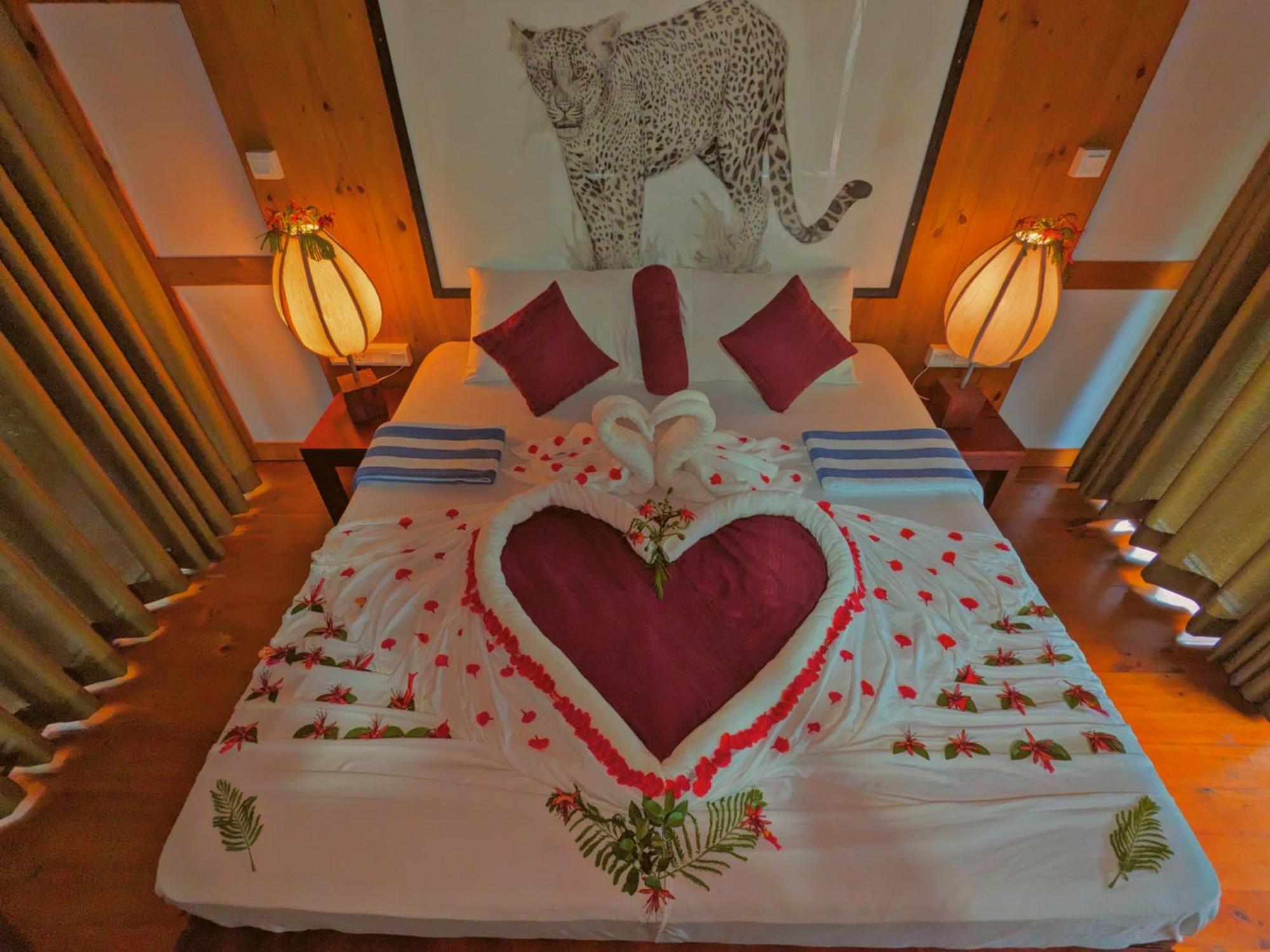Yala Hotel Lion -Air Conditioned High Luxury Safari Camp Eksteriør bilde