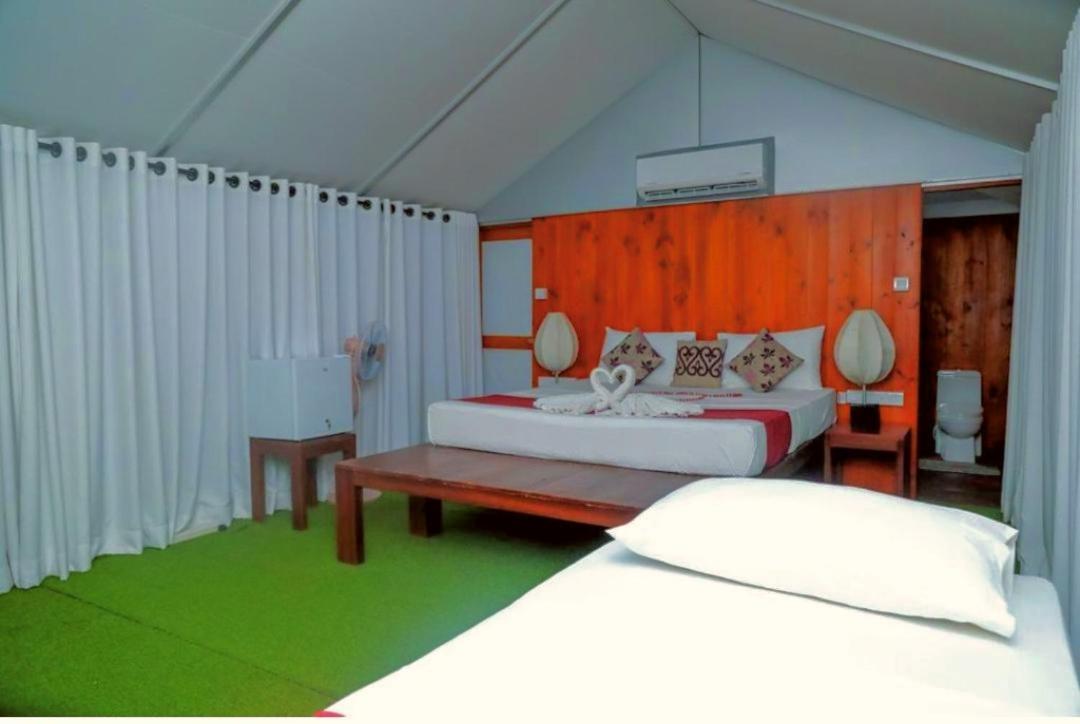 Yala Hotel Lion -Air Conditioned High Luxury Safari Camp Eksteriør bilde