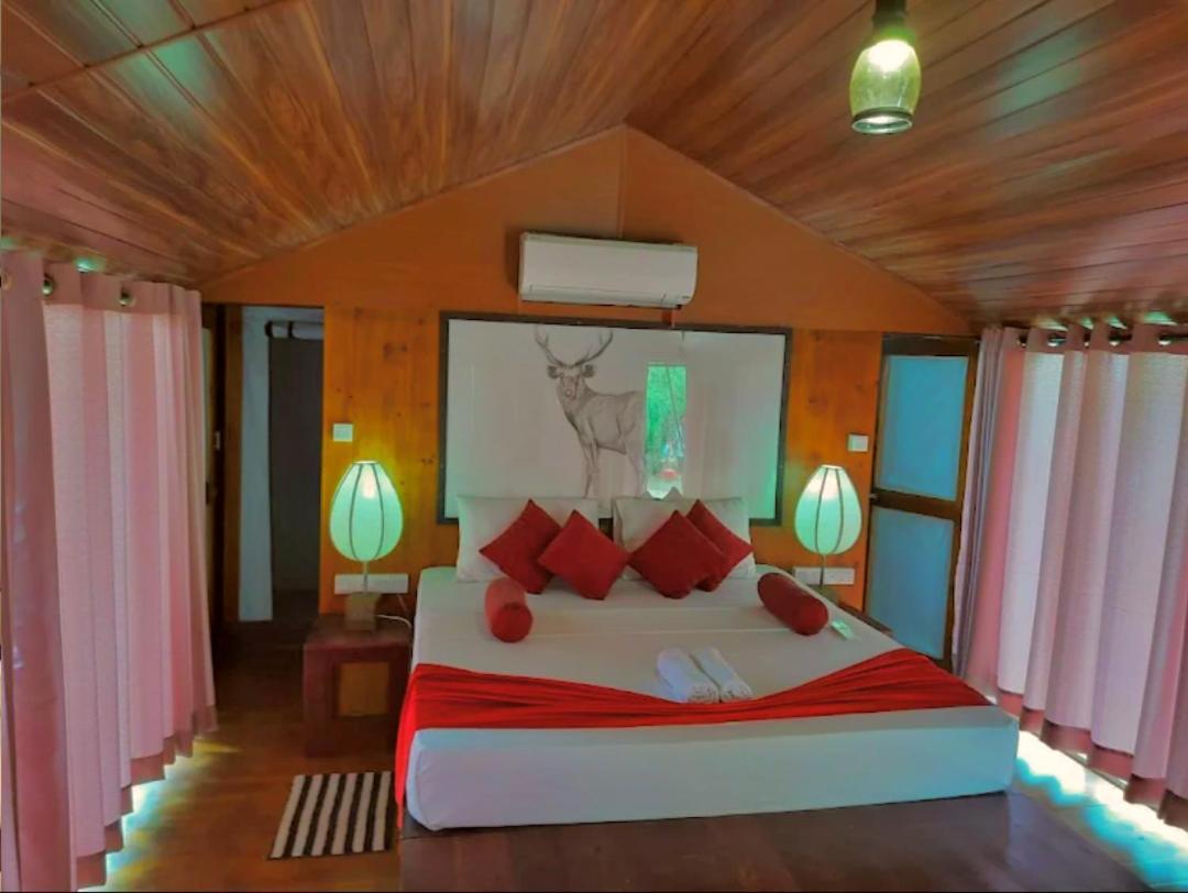 Yala Hotel Lion -Air Conditioned High Luxury Safari Camp Eksteriør bilde