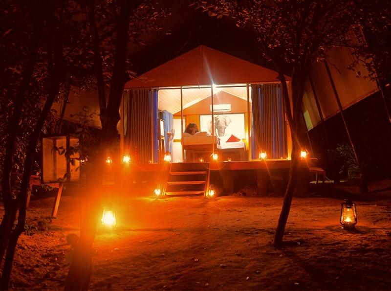 Yala Hotel Lion -Air Conditioned High Luxury Safari Camp Eksteriør bilde
